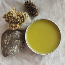 Load image into Gallery viewer, Adventure Companion Salve